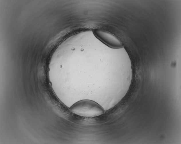 X0000116260256200912291502