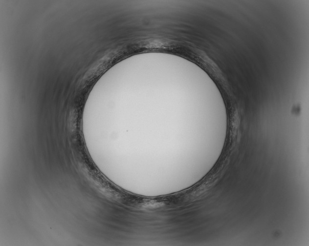 X0000116260257200912291502