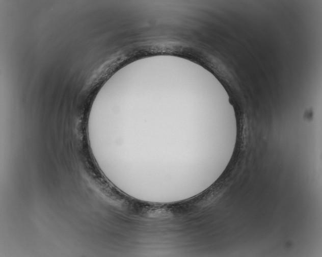 X0000116260258200912291502