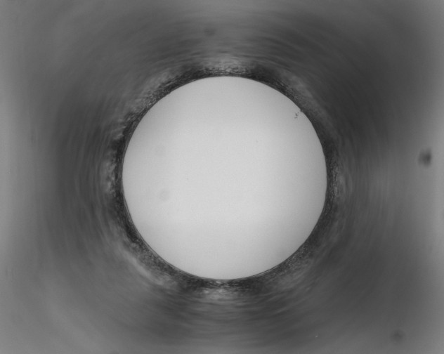 X0000116260259200912291502