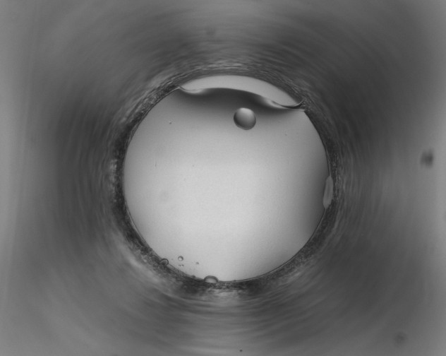 X0000116260260200912291502