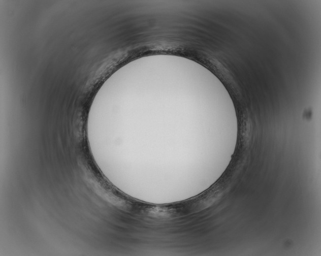 X0000116260261200912291502