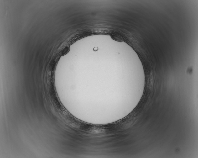 X0000116260263200912291502