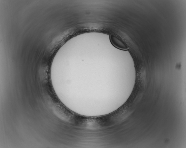 X0000116260264200912291502