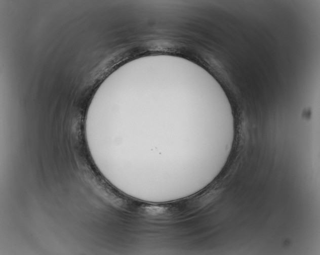 X0000116260265200912291503