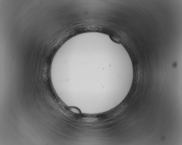 X0000116260266200912291503
