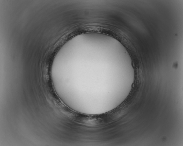 X0000116260267200912291503