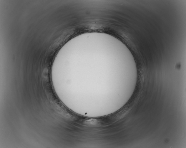 X0000116260269200912291503