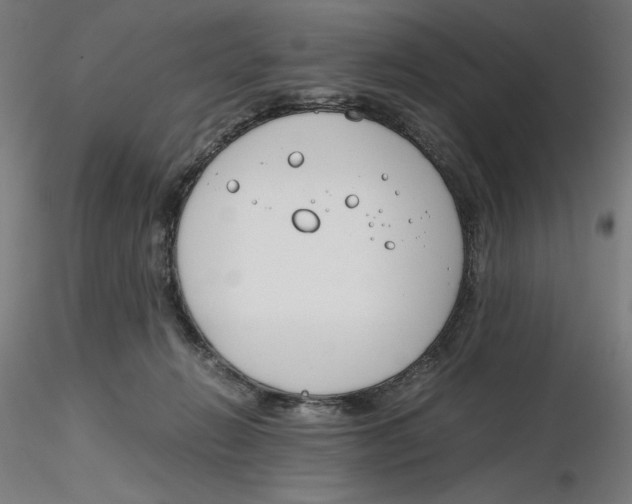 X0000116260270200912291503