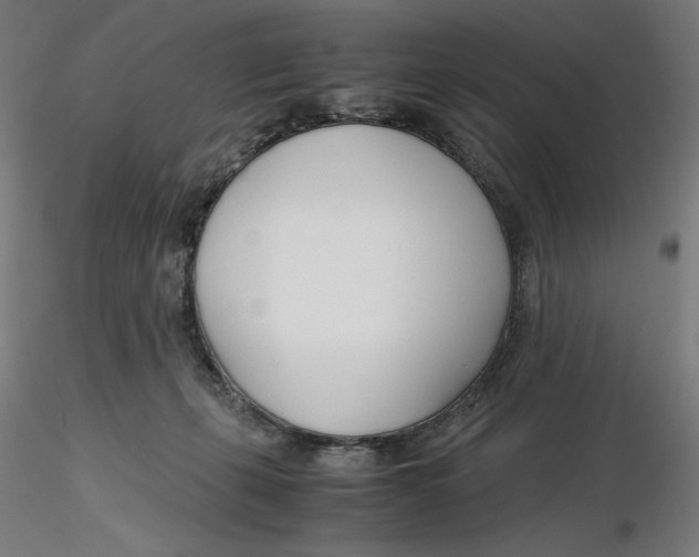 X0000116260271200912291503