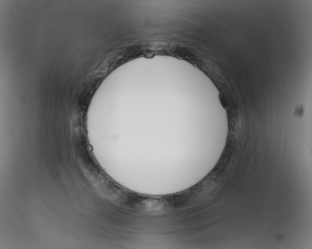 X0000116260272200912291503