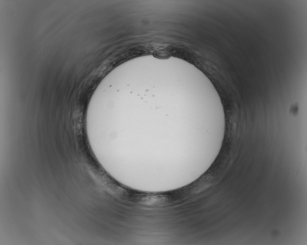 X0000116260274200912291503