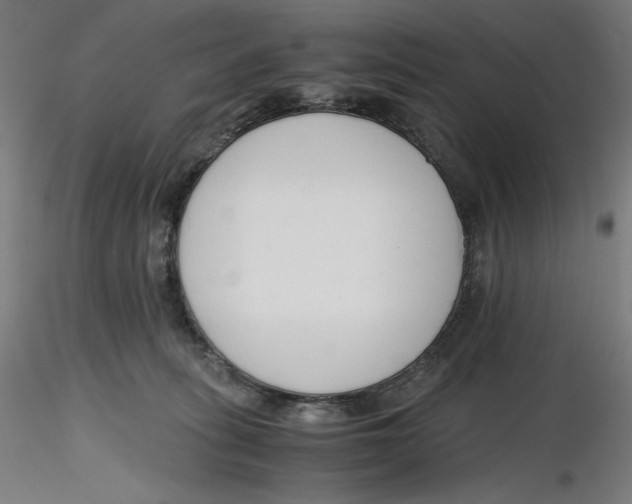 X0000116260275200912291503
