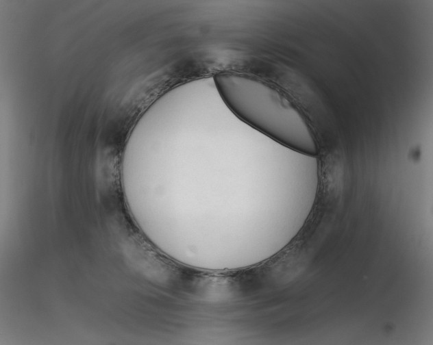 X0000116260276200912291503