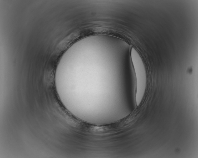 X0000116260277200912291503