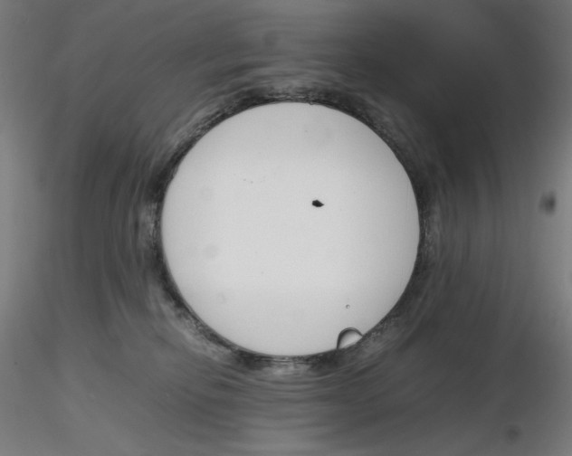 X0000116260278200912291503