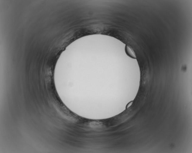 X0000116260279200912291503