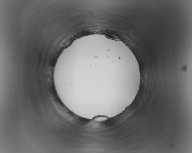 X0000116260280200912291503