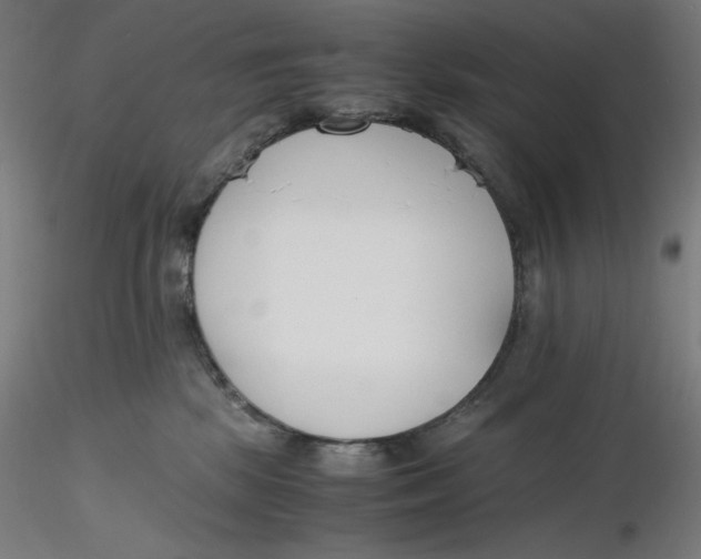 X0000116260281200912291503