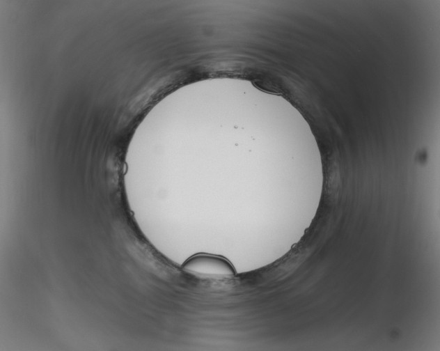 X0000116260282200912291503