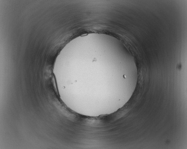 X0000116260284200912291503
