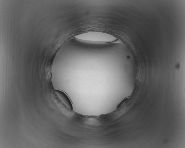 X0000116260285200912291503