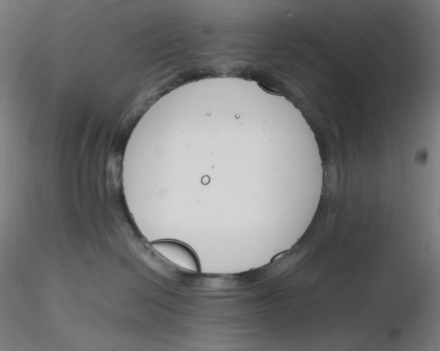 X0000116260286200912291503