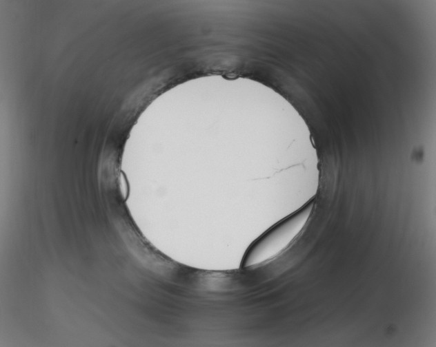 X0000116260287200912291503