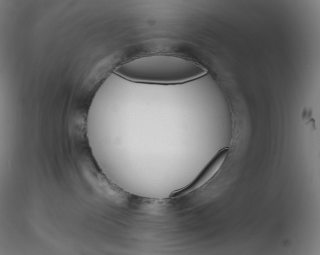 X0000116260288200912291503