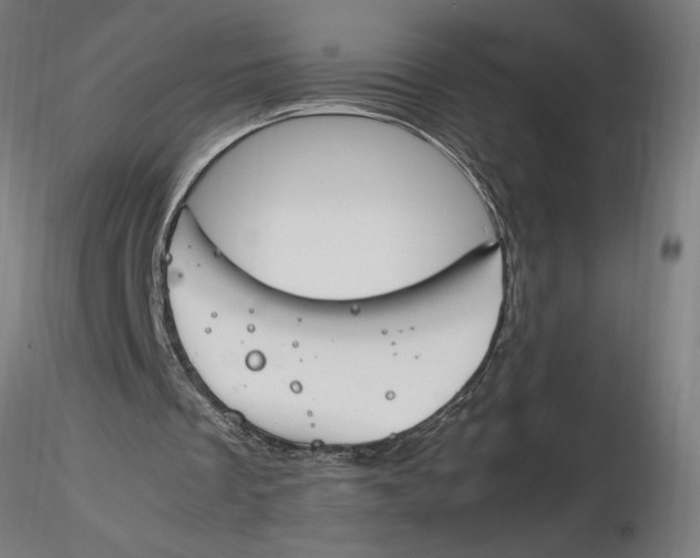 X0000116260289200912291502