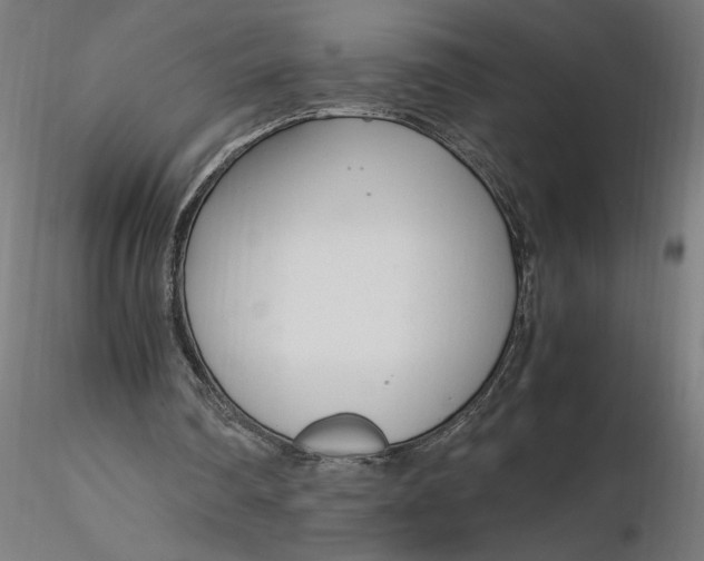 X0000116260290200912291502
