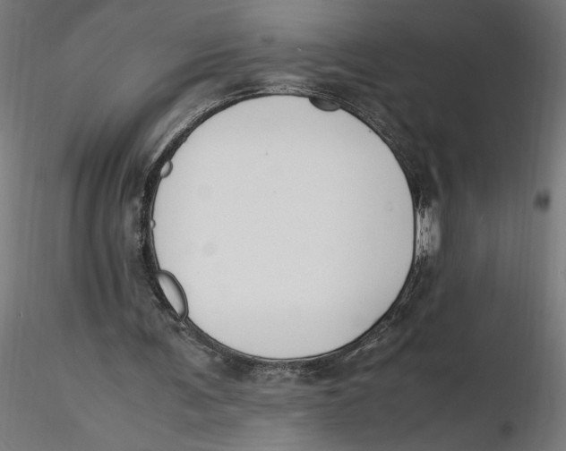 X0000116260291200912291502