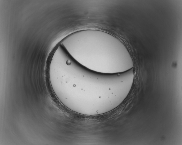 X0000116260292200912291502