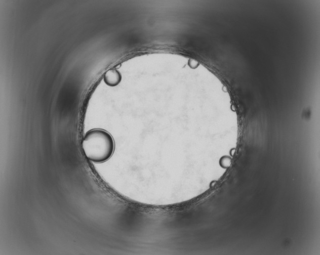 X0000116260293200912291502