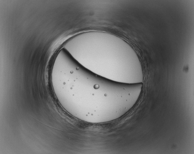 X0000116260294200912291502