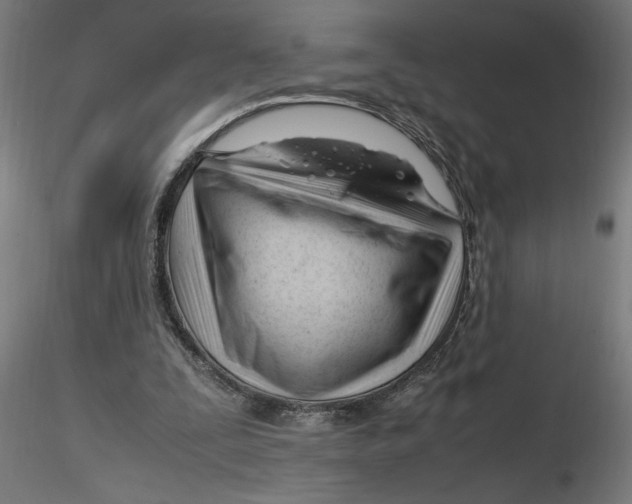 X0000116260295200912291502