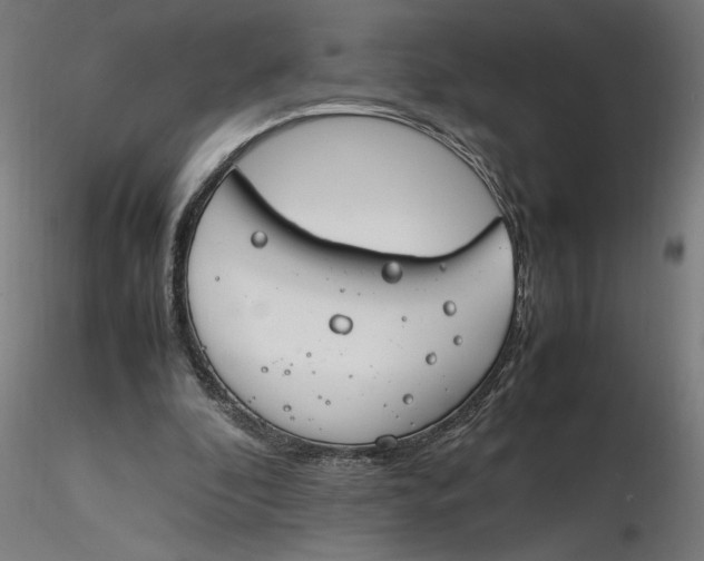 X0000116260296200912291502