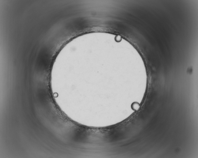 X0000116260297200912291502