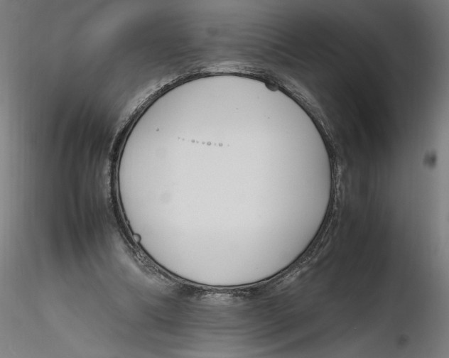 X0000116260298200912291502