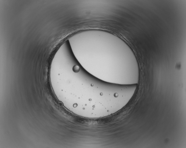 X0000116260301200912291502