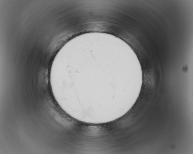 X0000116260302200912291502