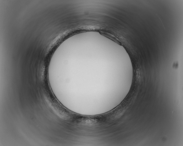 X0000116260304200912291502