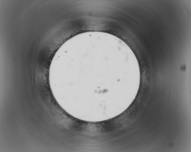 X0000116260305200912291502