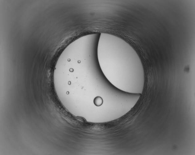 X0000116260308200912291502