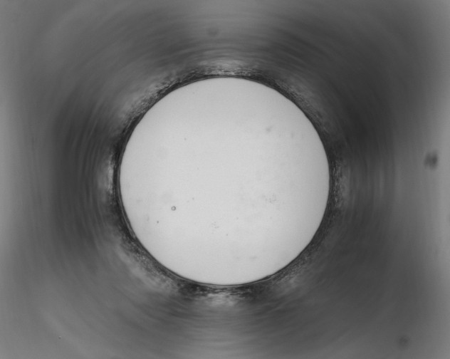 X0000116260310200912291502