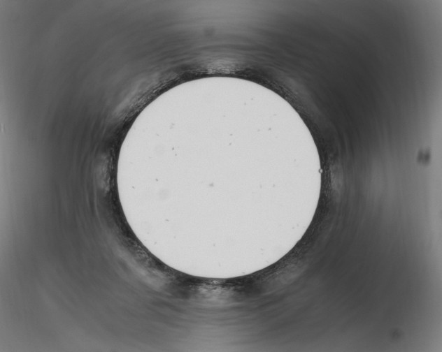 X0000116260311200912291502