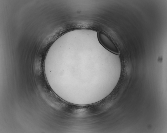 X0000116260312200912291502