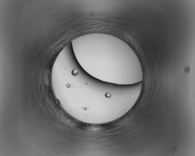 X0000116260313200912291502
