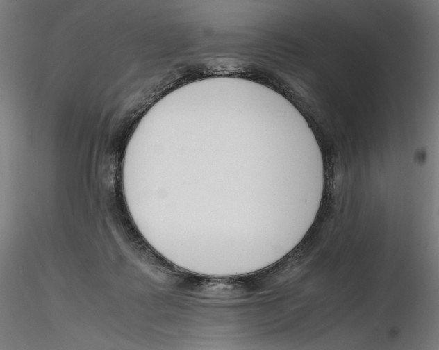 X0000116260315200912291502