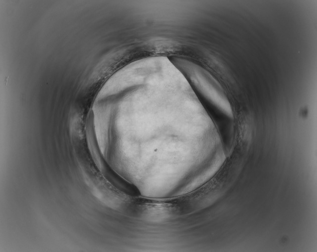 X0000116260316200912291502